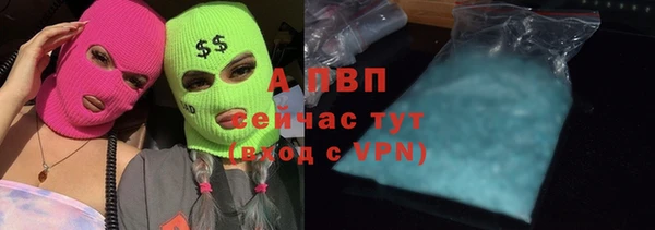 прущие грибы Абдулино