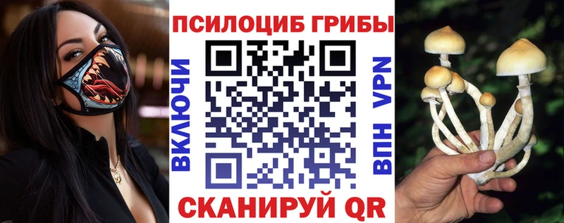 блэк спрут зеркало  Абаза  Галлюциногенные грибы ЛСД 